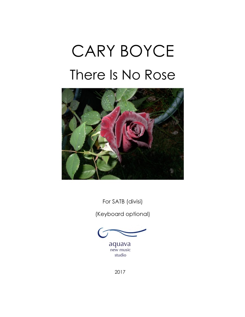 Image of There Is No Rose cover